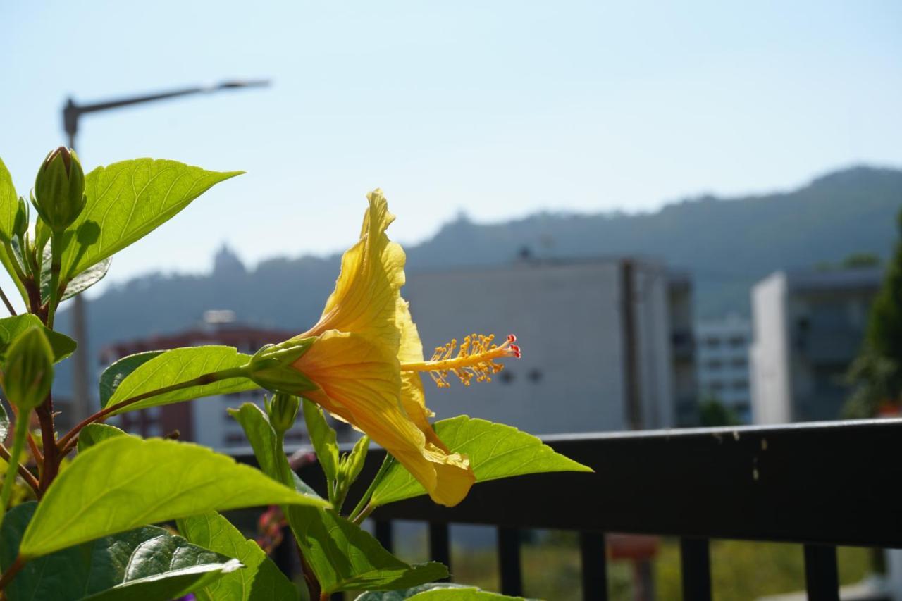 Jardim Da Celeste Appartement Viana do Castelo Buitenkant foto